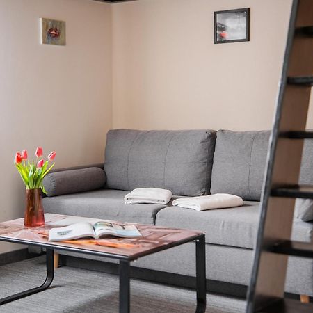 Apartament Loftowy Na Spokojnej コウォブジェク エクステリア 写真