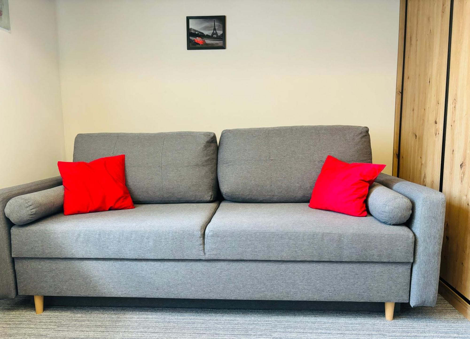 Apartament Loftowy Na Spokojnej コウォブジェク エクステリア 写真