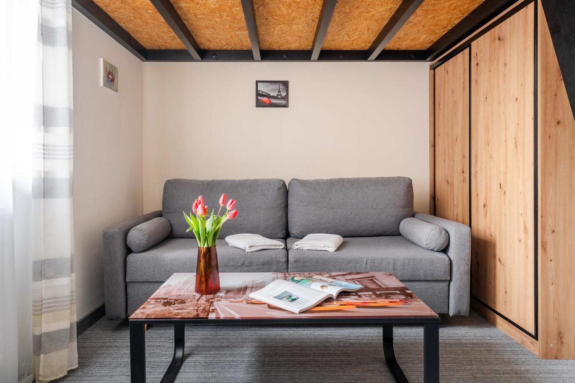 Apartament Loftowy Na Spokojnej コウォブジェク エクステリア 写真